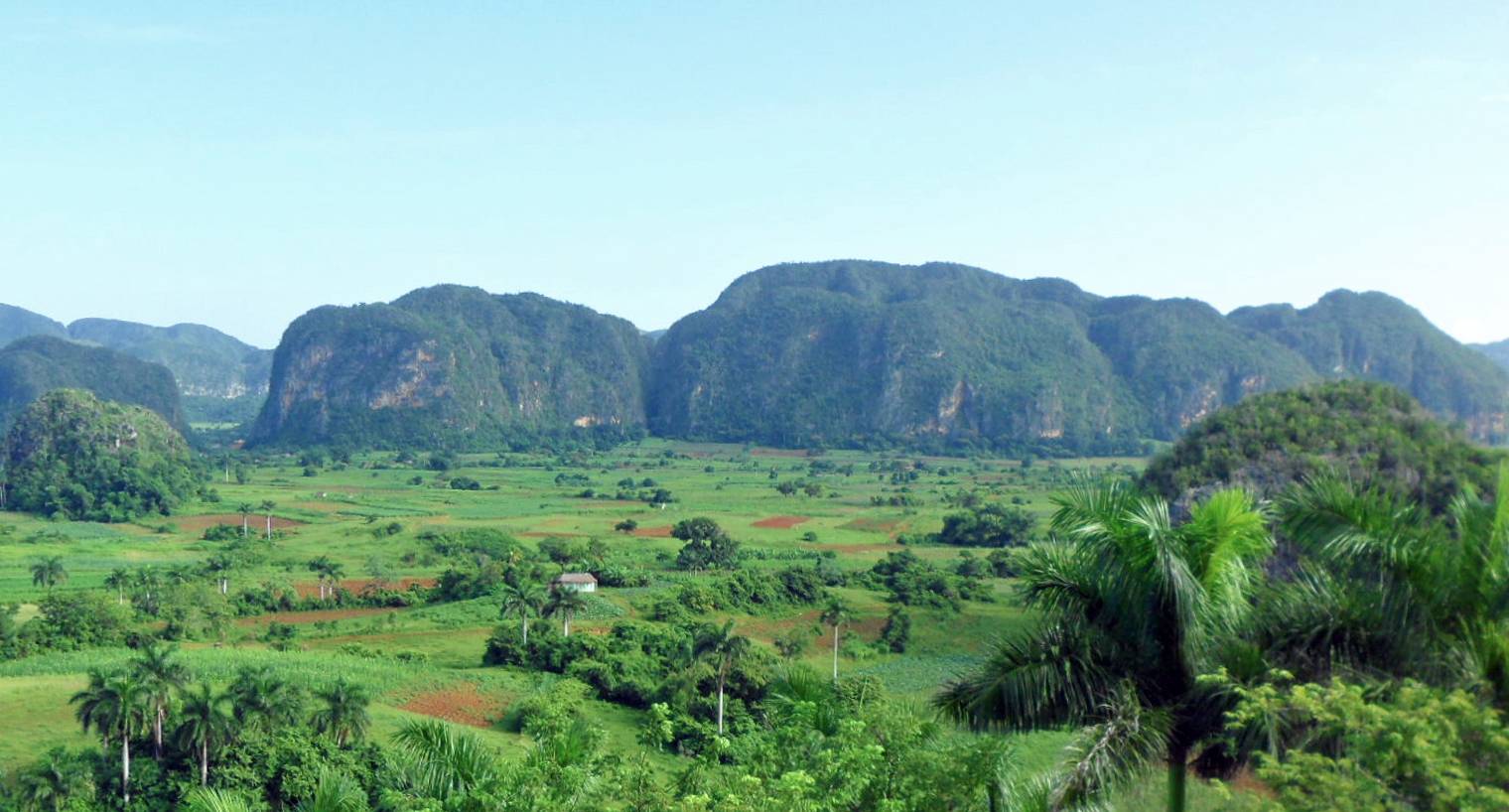 vinales-1